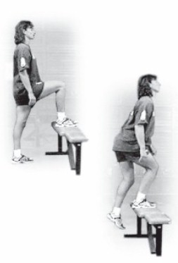 5.- Banco (Bench steps)