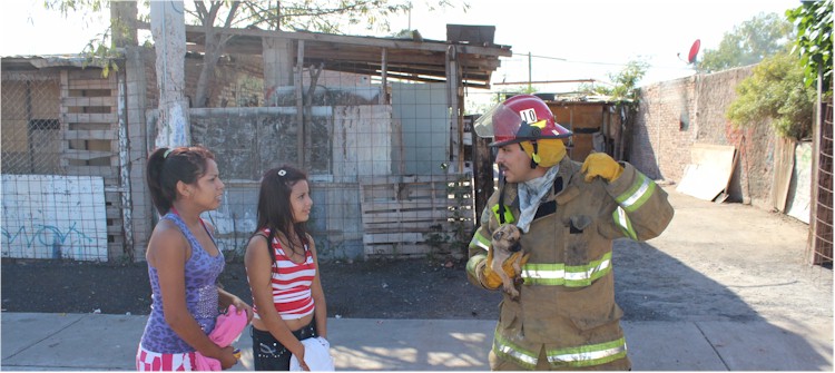 Bomberos salvan a mascota en el incendio de la colonia Beltrones