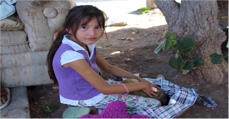 Bomberos salvan a mascota en el incendio de la colonia Beltrones