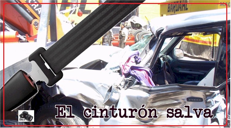 El cinturón salva: úsalo !!!