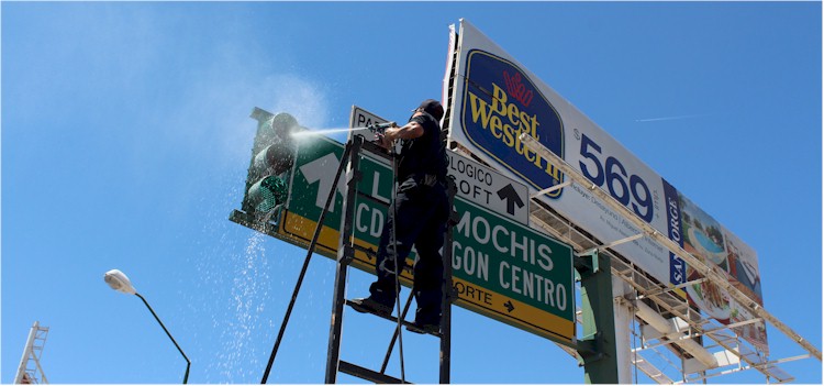 Panal abejas culichis - Foto 5