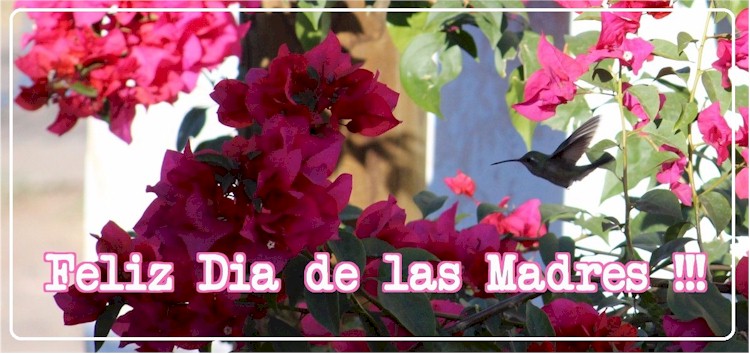 10 de Mayo - Da de las Madres